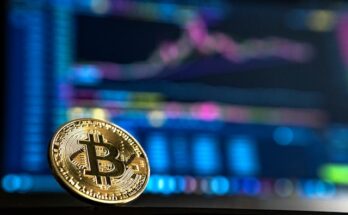 Bitcoin’s Rise Continues as Crypto Mania Sweeps the Investment Community