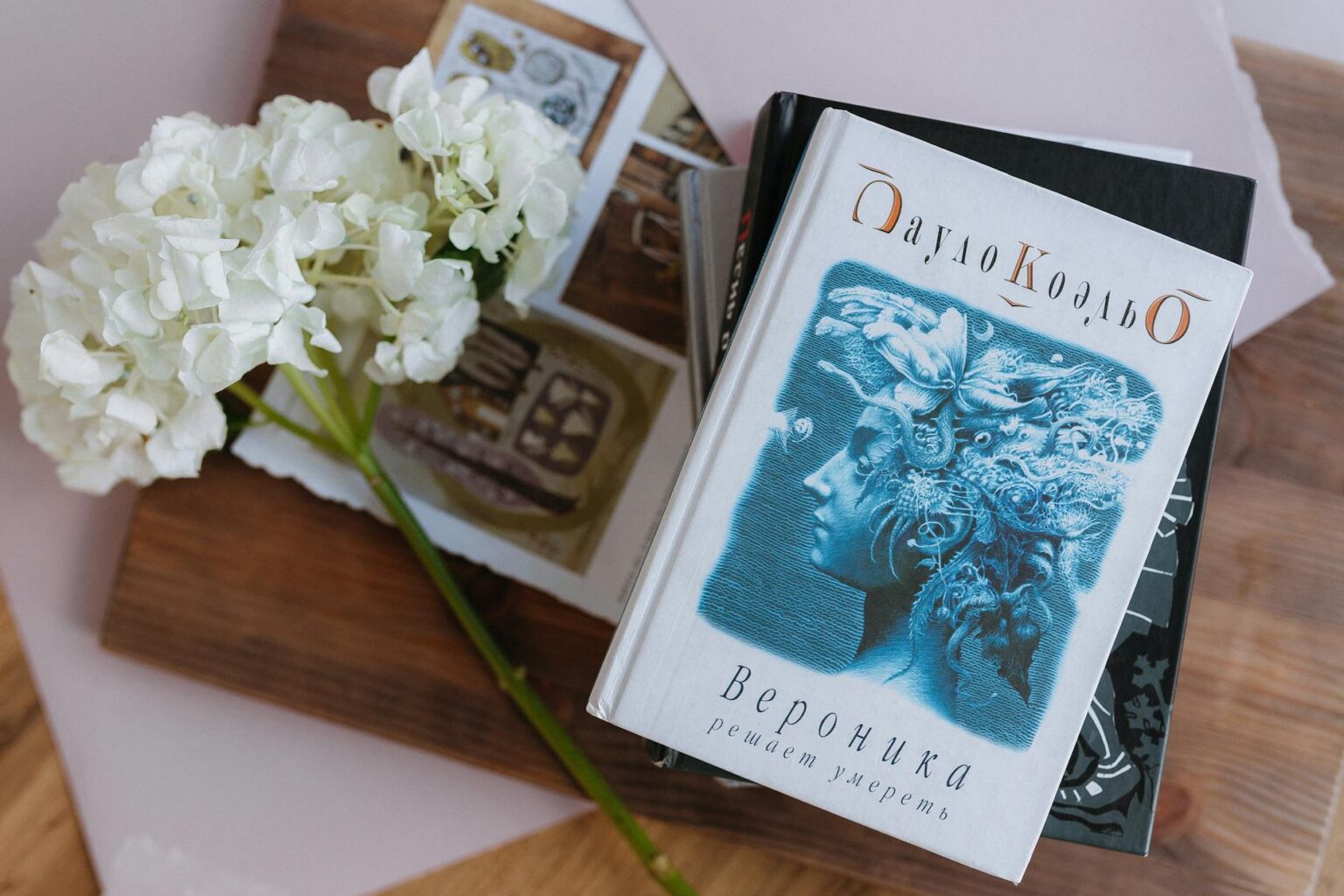 ASUS ProArt Display vs LG UltraFine: Best 4K Monitor for Video Editing Professional 4K monitor setup on modern desk for video editing workflow