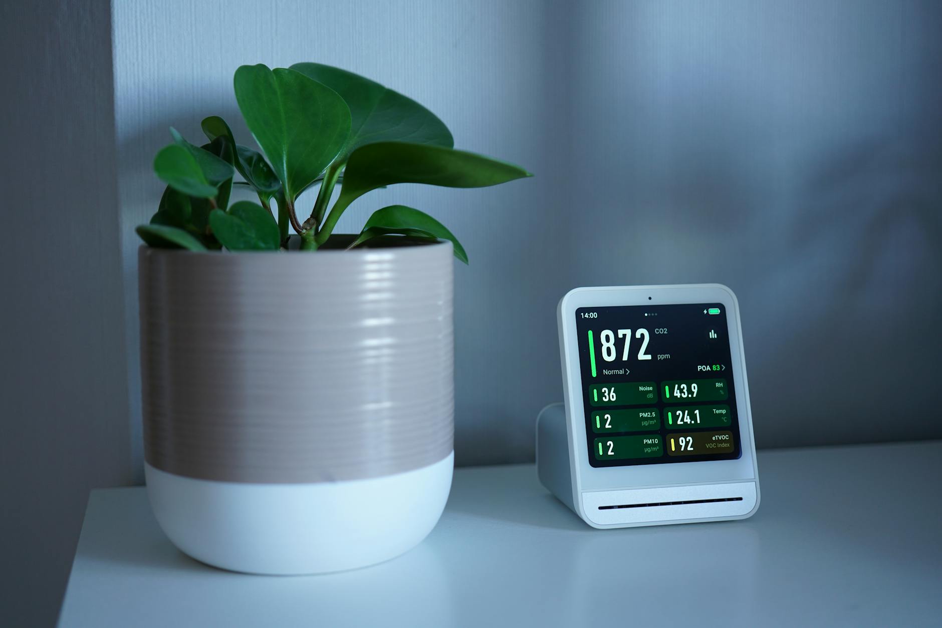 Compact smart planter integrated into modern home environment with smartphone app interface