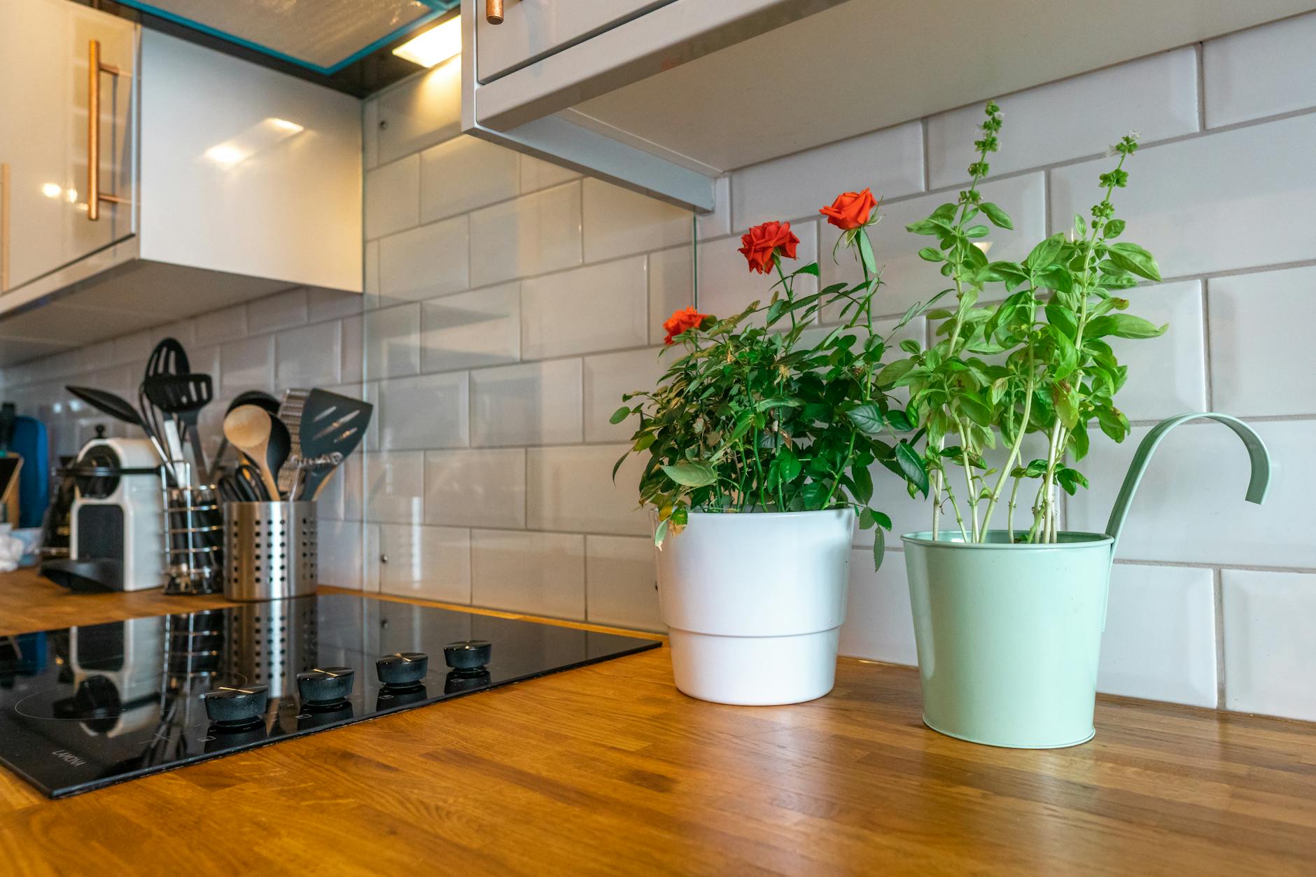 Kitchen counter smart planter with fresh herbs ready for harvesting