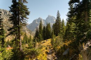 Hiker on a remote mountain trail where satellite communication would be essential