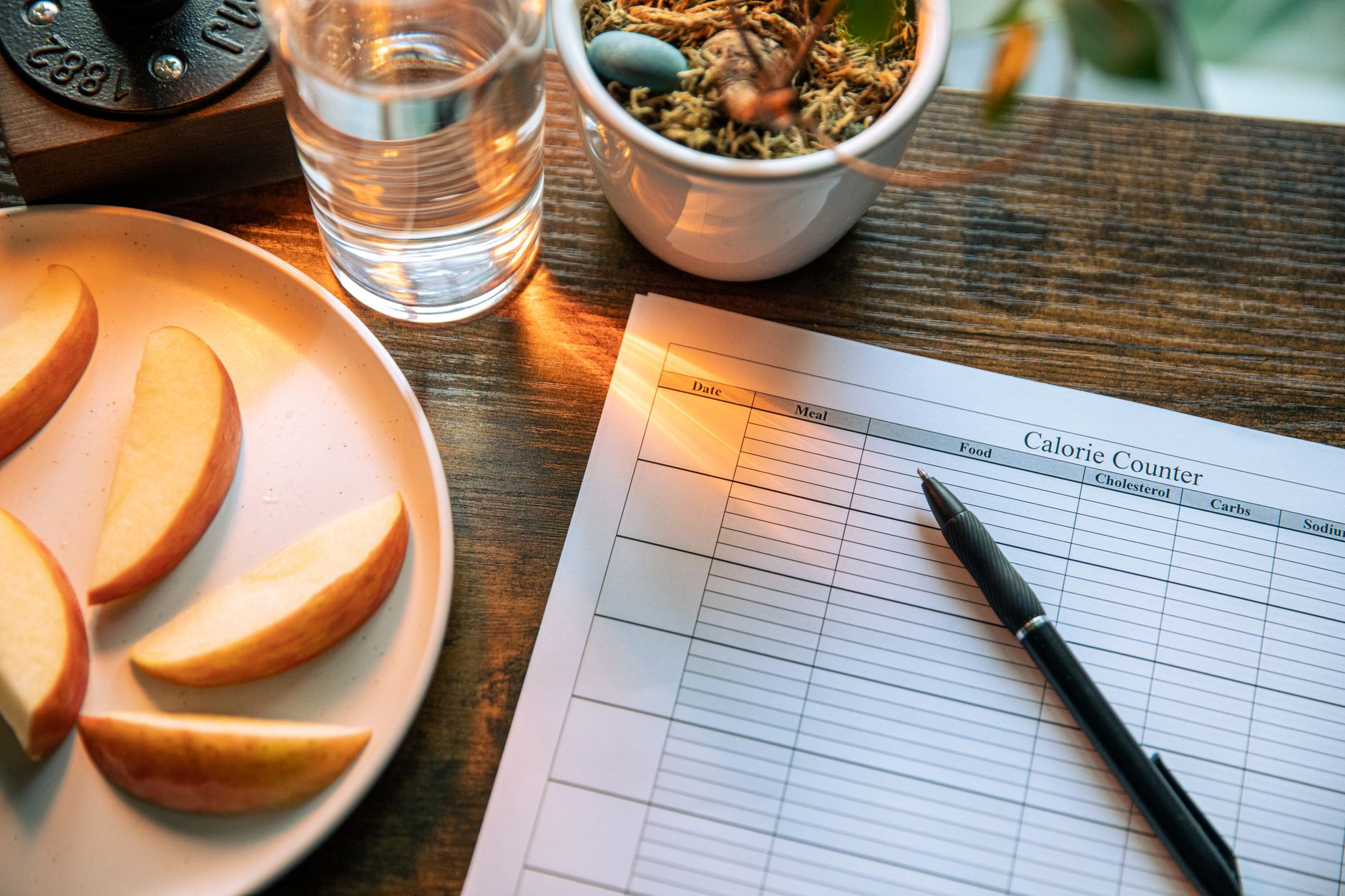Person writing a weekly meal plan with a notebook and pen