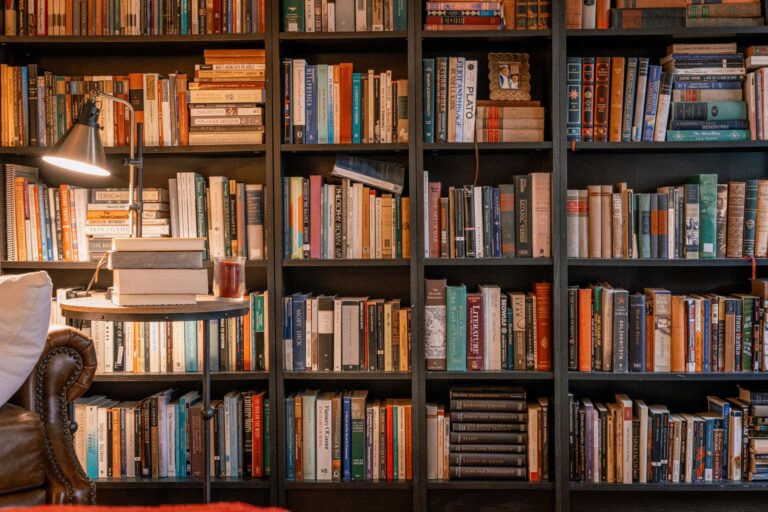 Shelves of organized books representing a personal digital library collection