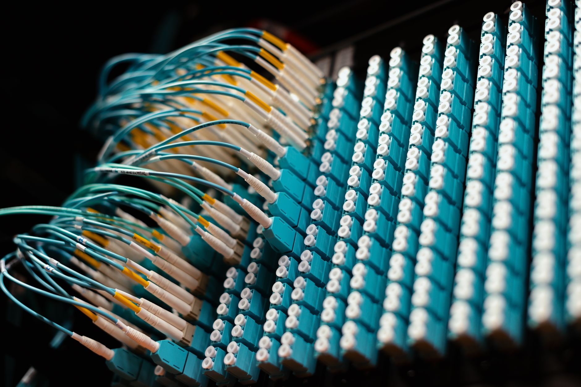 Ethernet network cables plugged into a patch panel in a structured cabling setup