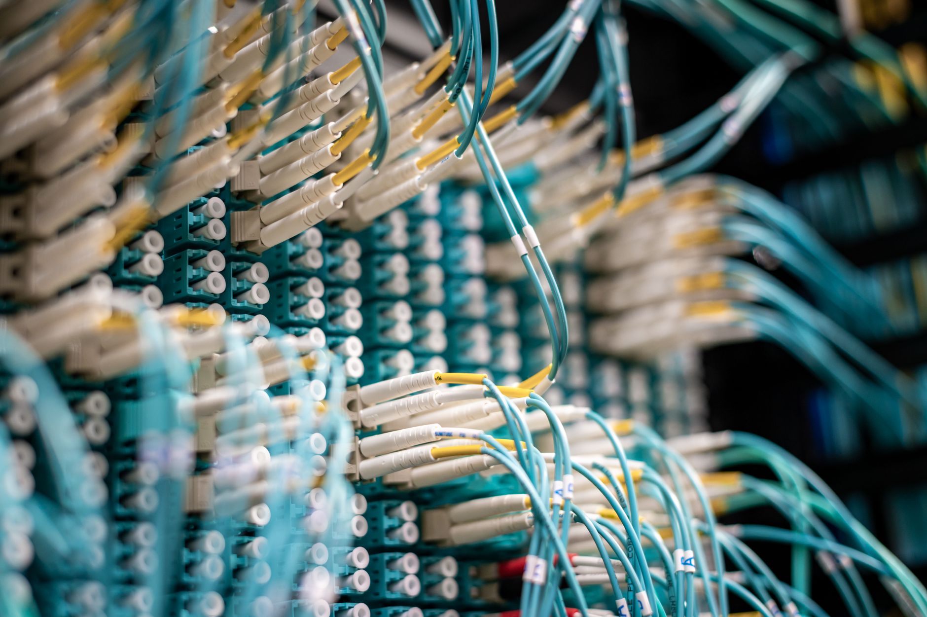 Close-up of ethernet network cables plugged into a server switch