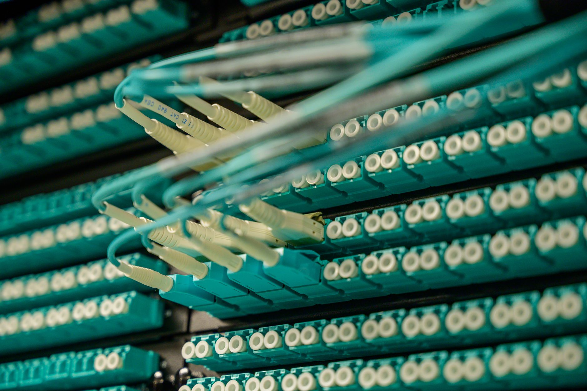 Server rack with network cables in a data center