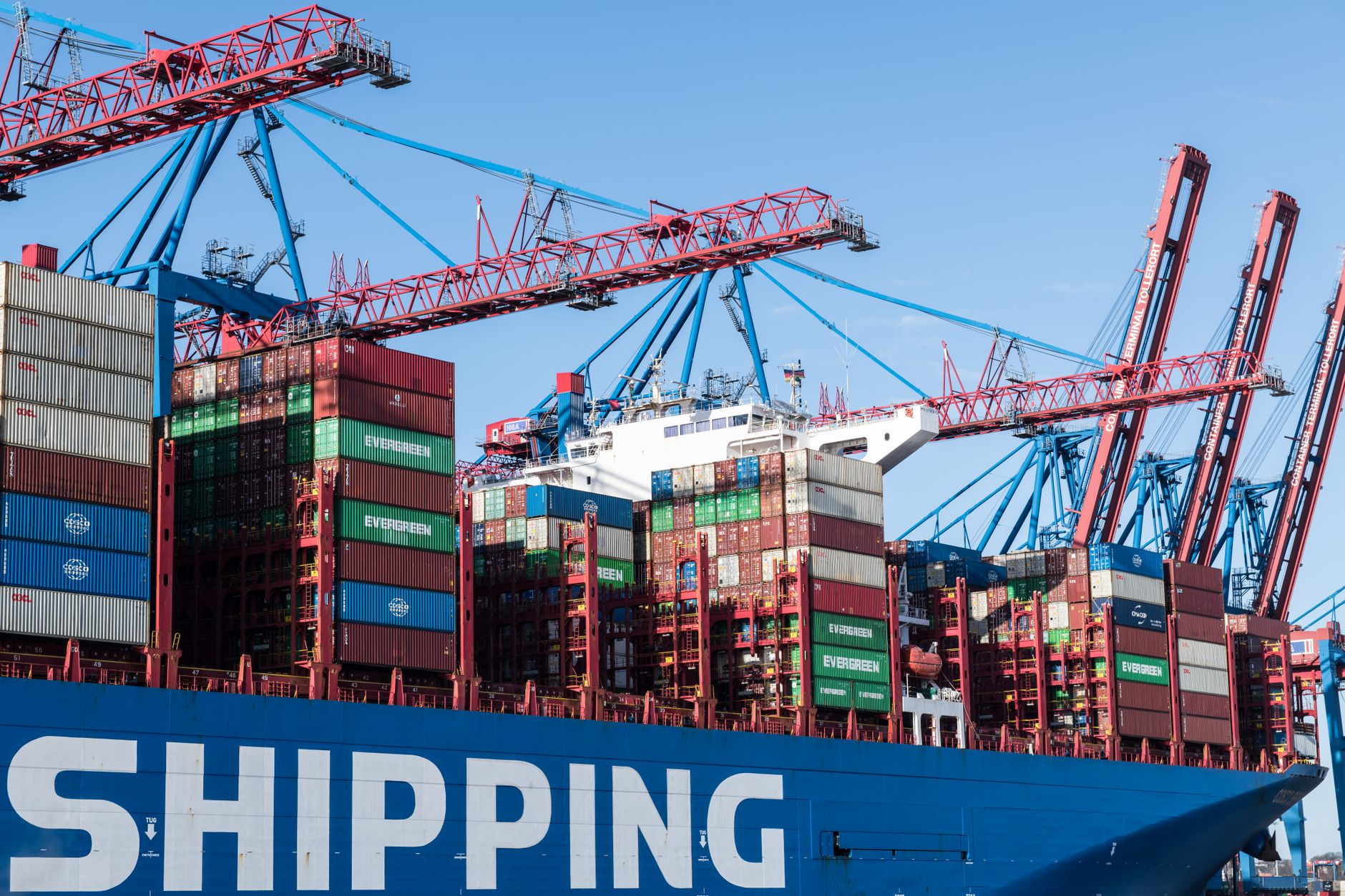 Developer viewing a terminal screen with Docker container commands running